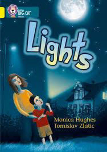 Picture of Lights