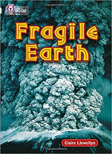 Picture of Fragile Earth / Big Cat / Diamond 17