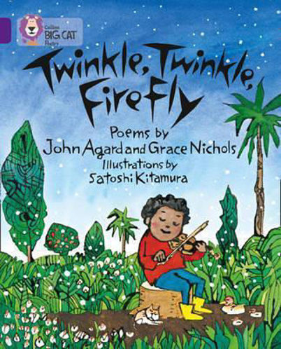 Picture of Twinkle, Twinkle, Firefly / Big Cat / Purple Band 8