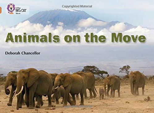 Picture of Animals on the Move