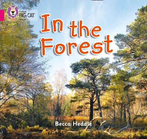 Picture of In The Forest / Big Cat / Pink B Band 1B