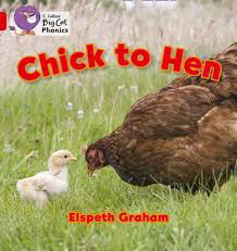 Picture of Chick to Hen Big Cat Red A Band 2 A