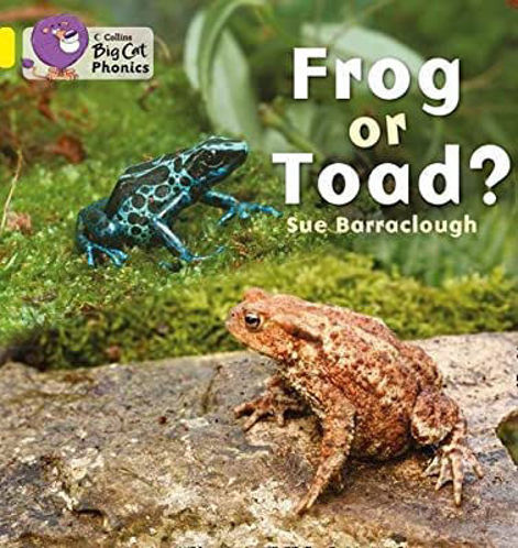 Picture of Frog or Toad? Big Cat Yellow Band 3