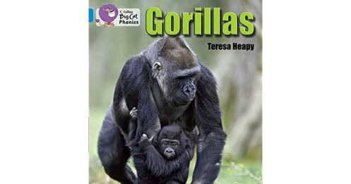 Picture of Gorillas