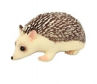 Picture of Stretchy Beanie Animals - Hedgehog