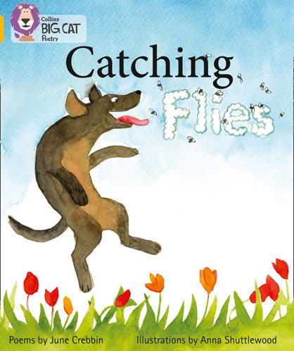 Picture of Catching Flies / Big Cat / Gold Band 9