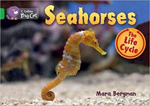 Picture of Seahorses / Big Cat / Green Band 5