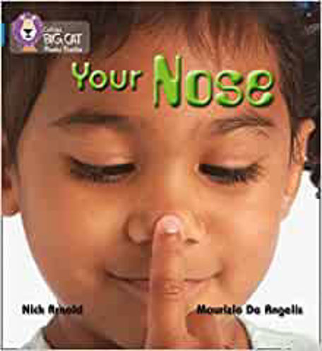 Picture of Your Nose