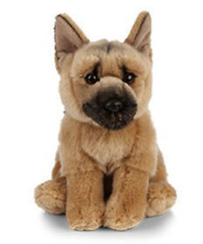 Picture of German Shepherd