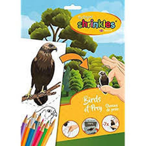 Picture of Bird of Prey