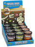 Picture of Assorted Fossil Dig in Tub