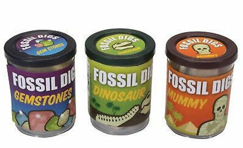 Picture of Assorted Fossil Dig in Tub