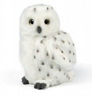 Picture of Snowy Owl Medium