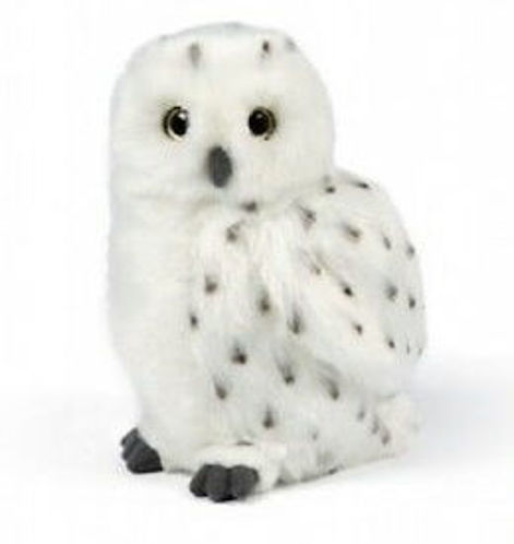 Picture of Snowy Owl Medium