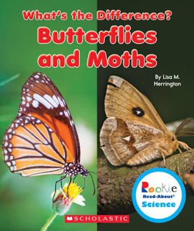 Picture of BUTTERFLIES AND MOTHS