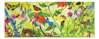 Picture of BUGS