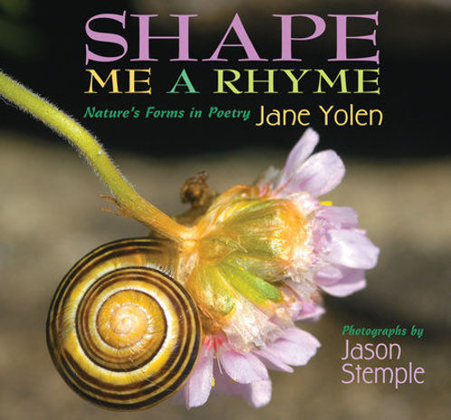 Picture of Shape Me A Rhyme