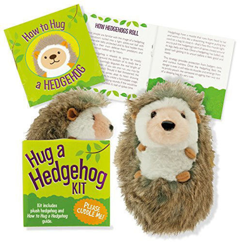 Picture of Hug a Hedgehog Kit