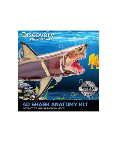 Picture of Discovery Mindblown: 4D Shark Anatomy Kit