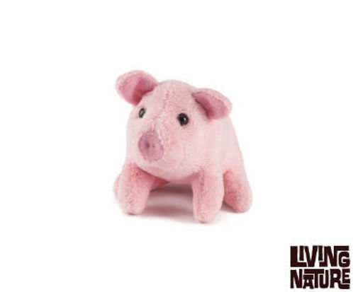 Picture of Living Nature Pig Mini Buddies