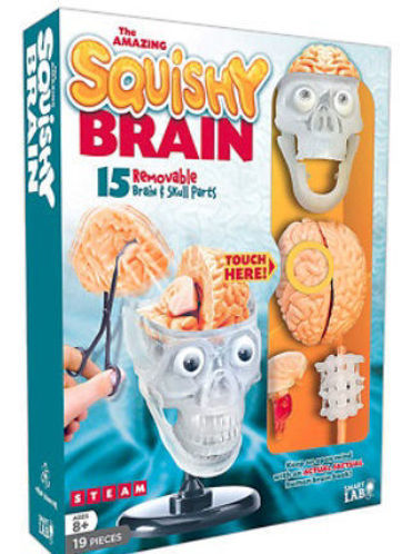 Picture of The Amazing Squishy Brain 15 removable Brain Skull parts