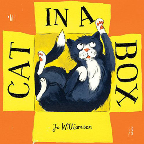 Picture of Cat in a Box Kindle Edition (Hardcover)