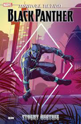 Picture of Marvel Action Black Panther Stormy Weather