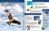 Picture of Smithsonian Discover: Flight