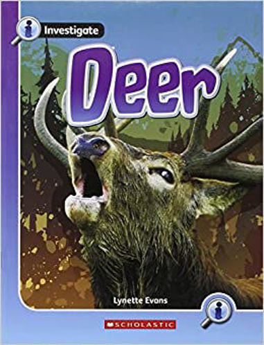Picture of Deer Animal Defenses