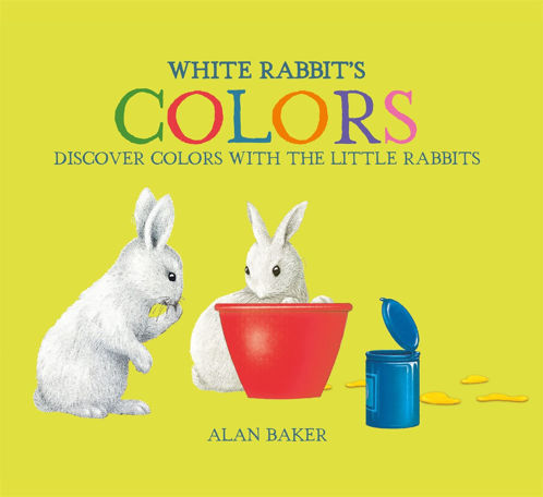 Online top rabbit shop