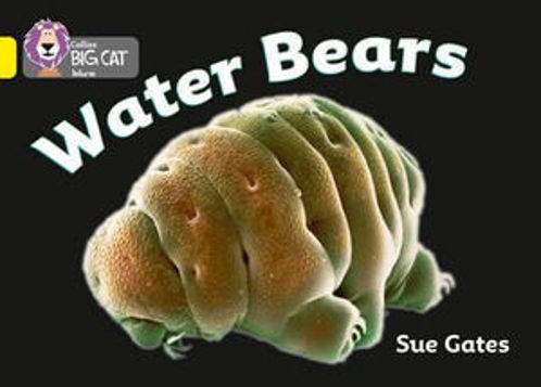 Picture of Big Cat: Water Bears