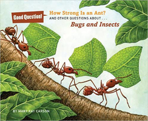 Picture of How Strong Is an Ant?: And Other Questions About Bugs and Insects (PAPERBACK)