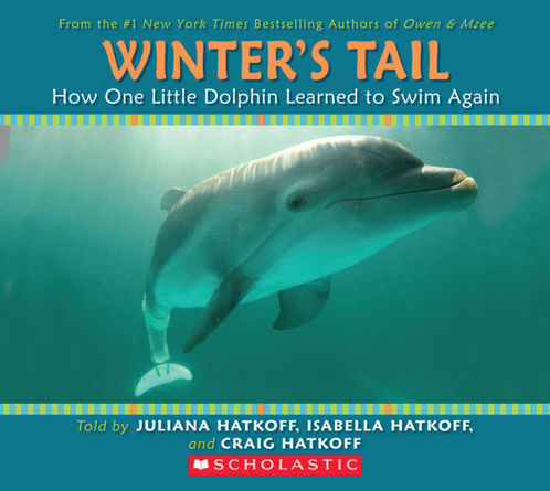 Picture of Winter's Tail: How One Little Dolphin Learned to Swim Again (PAPERBACK)