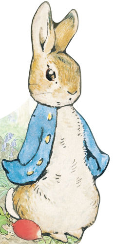 Picture of ALL ABOUT PETER