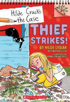 Picture of Thief Strikes!