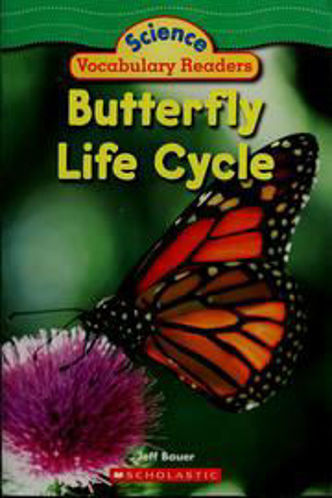 Picture of Buterfly life cycle