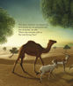 Picture of The Little Ghaf Tree