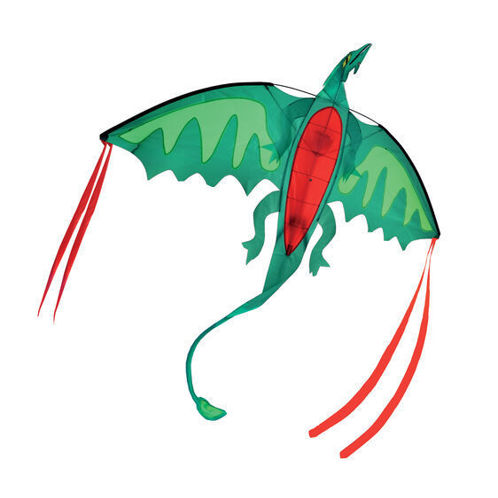 Picture of Winged Dragon Kite