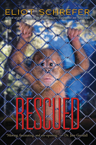 Picture of Rescued H.B.