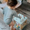 Picture of Activity Cube - Educational Toys - BigJigs
