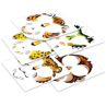 Picture of Face Paintoos - Wild Pack - Arts and Crafts - Play Monster