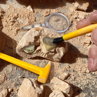 Picture of Educational Insights GeoSafari Jr. Fossil Excavation Kit