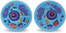 Picture of Cross-section Animal Cell Model