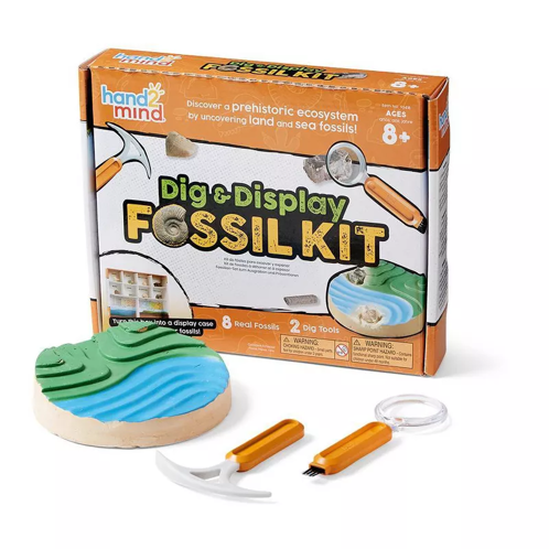 Picture of Dig & Display Fossil Kit