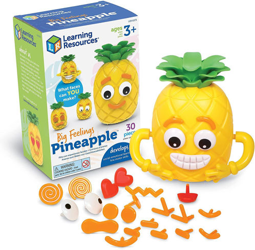 Picture of Big Feelings Pineapple
