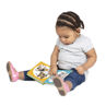 Picture of Poke-a-Dot - Pet Families - Melissa & Doug