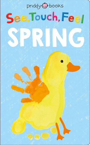 Picture of See, Touch, Feel: Spring Board book