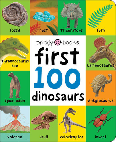 Picture of First 100: First 100 Dinosaurs