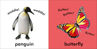 Picture of Baby Touch and Feel: Animals Board book
