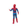 Picture of COS-B Deluxe Spiderman (L)